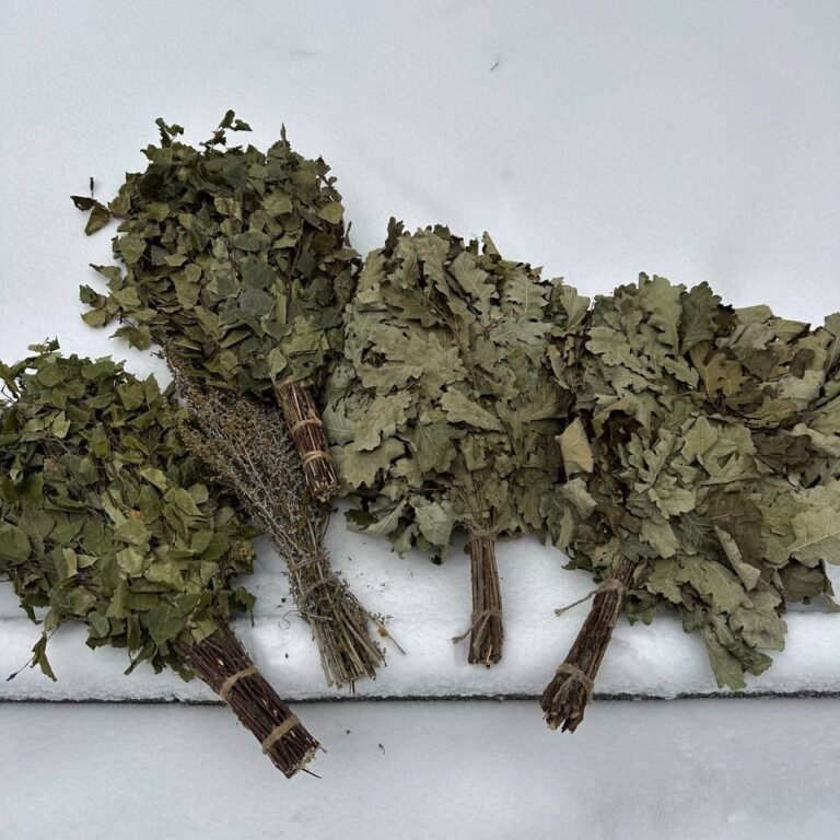 IMG_20221221_113250_989